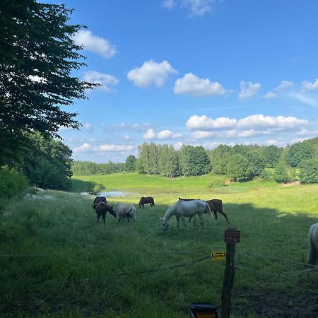 Biale Domki Bytów Extérieur photo